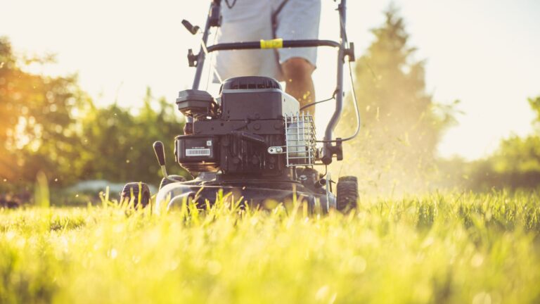 An overview of the latest trends in the Lawn Mower Market