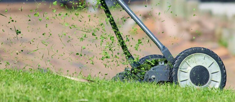 Which Reel Lawn Mower is Right for You?