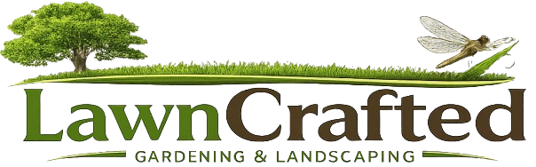 Captur77e-removebg-preview (1)